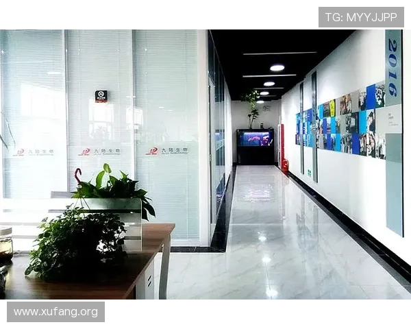 k8凯发旗舰厅官网登录入口:官方入口安全登录指南,保障玩家账号信息和资金安全